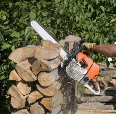 Exploitant forestier préparant des billes de bois en Vendée