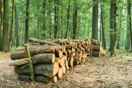 stockage bois vendée